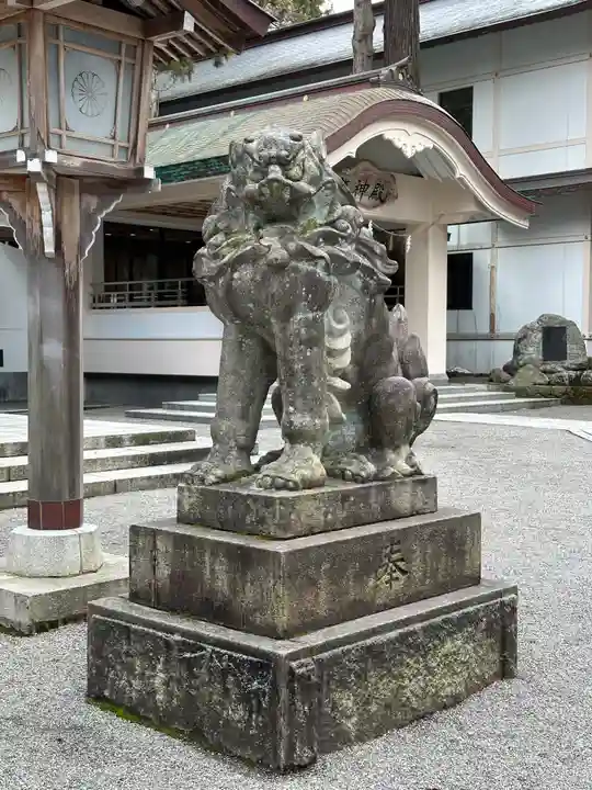白山比咩神社の狛犬