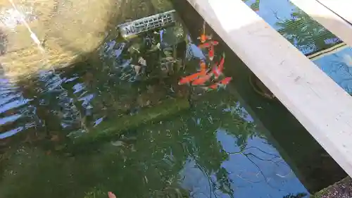 賀茂別雷神社の庭園