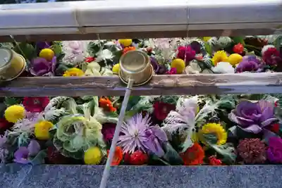 豊景神社の手水舎