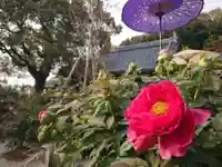 安養寺(兵庫県)