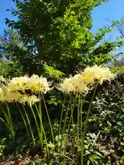 天宮神社(静岡県)