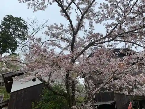 顕宗仁賢神社の自然
