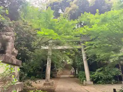 赤坂氷川神社(東京都)