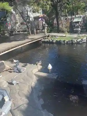 平塚八幡宮(神奈川県)