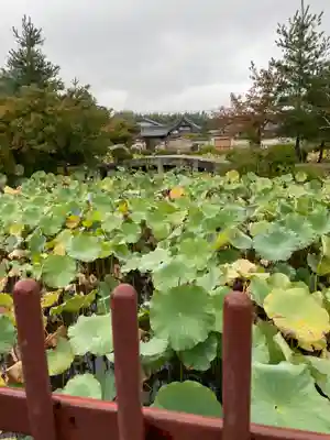 天龍寺(京都府)
