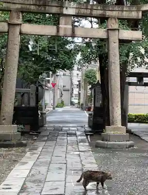小野照崎神社の鳥居