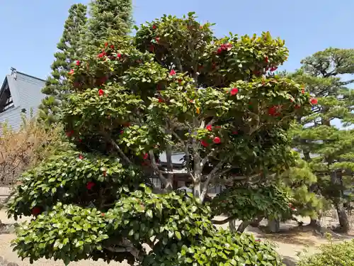永澤寺(兵庫県)