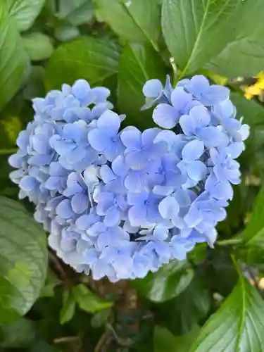 川越八幡宮(埼玉県)