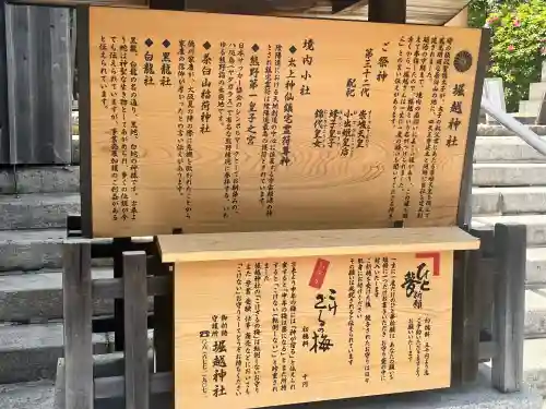 堀越神社(大阪府)