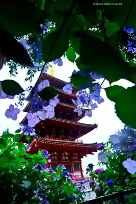 高幡不動尊　金剛寺(東京都)
