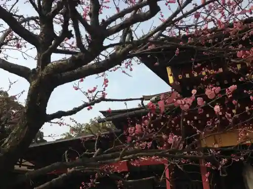 太宰府天満宮の建物その他