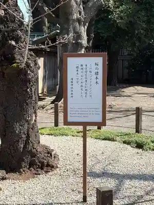 靖國神社(東京都)