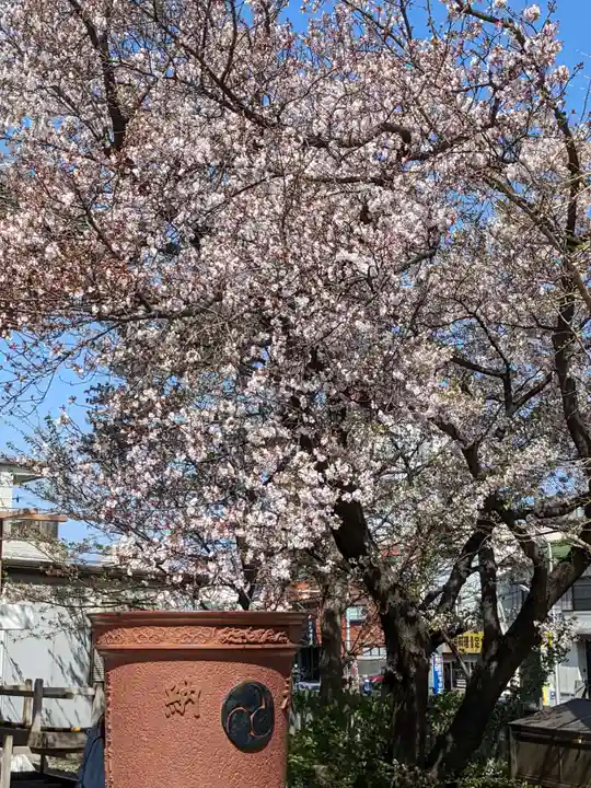 豊受神社の自然