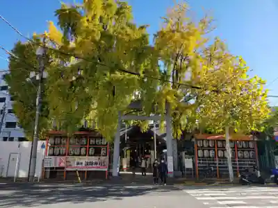波除神社（波除稲荷神社）の鳥居