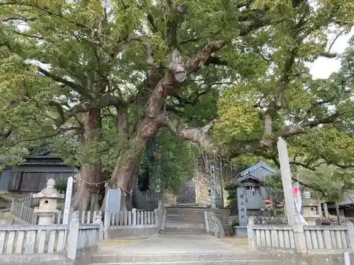 岡上神社(徳島県)