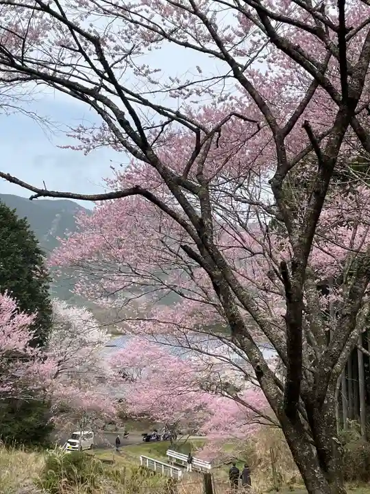 春谷寺(三重県)