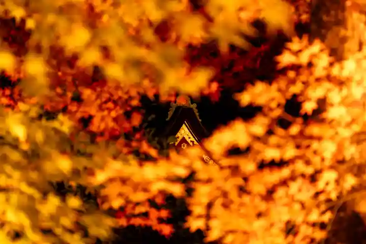 北野天満宮(京都府)