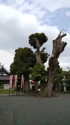 龍圓寺(埼玉県)