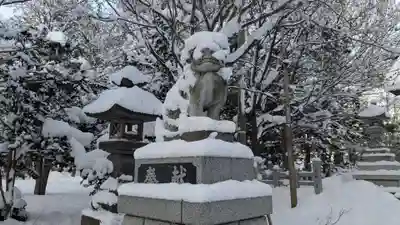 神楽神社の狛犬