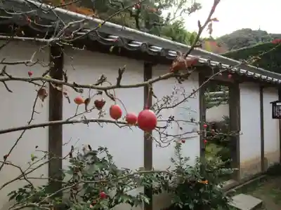 當麻寺中之坊(奈良県)