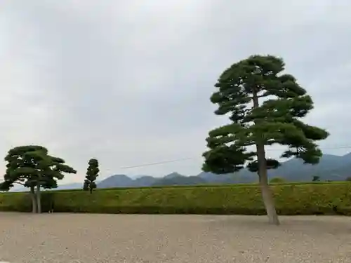 山形縣護國神社の景色