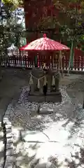 浅草神社の狛犬