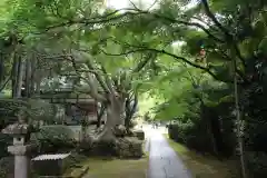 花山院菩提寺の建物その他