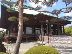 護国寺の本殿