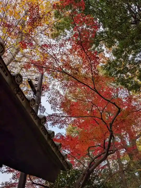 妙法寺(東京都)