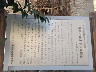 根岸八幡神社(神奈川県)