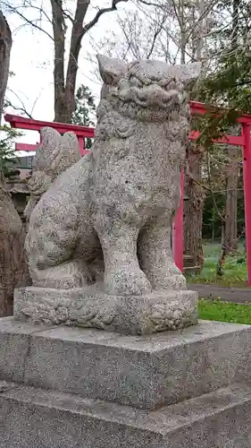 空知神社の狛犬