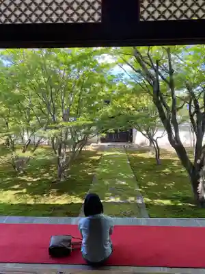 妙覺寺（妙覚寺）(京都府)