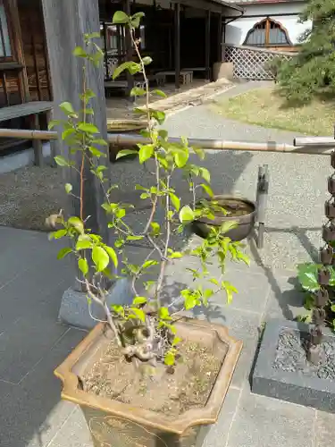 妙蓮寺(神奈川県)