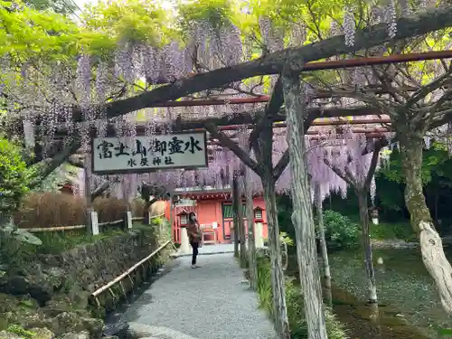富士山本宮浅間大社(静岡県)