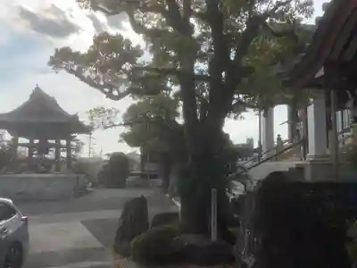 月心寺(愛知県)