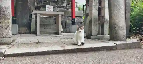 伏見稲荷大社(京都府)