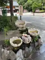 櫻木神社(千葉県)