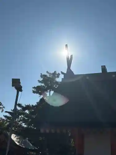 住吉大社(大阪府)