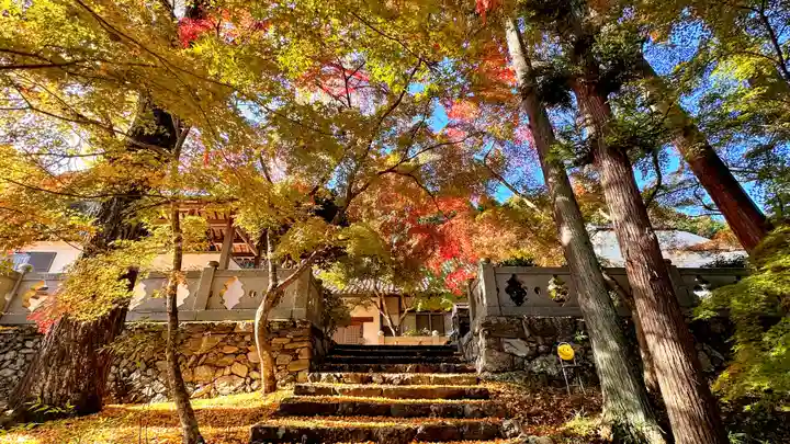 正法寺(京都府)
