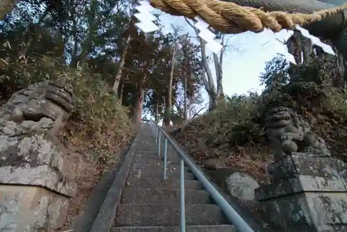 阿久津「田村神社」（郡山市阿久津町）旧社名：伊豆箱根三嶋三社の狛犬