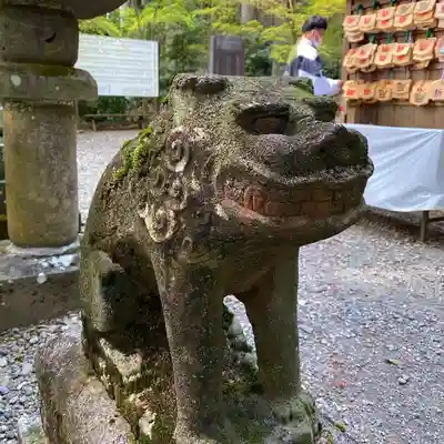 日光大室高龗神社の狛犬