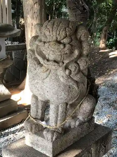 小川神社の狛犬