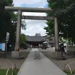 浅草神社の鳥居