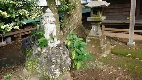 厳島神社の狛犬