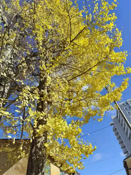阿邪訶根神社(福島県)