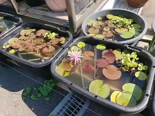 極楽山　浄土寺(北海道)