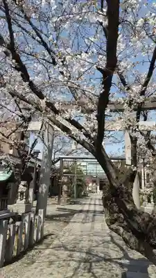 白山神社（榎白山神社）の庭園
