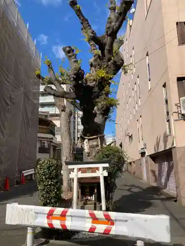 白光大神 (大阪府)