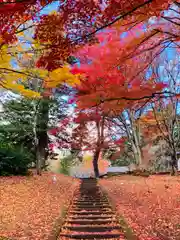 土津神社｜こどもと出世の神さまの自然