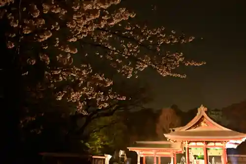 鶴岡八幡宮(神奈川県)